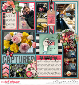 allyanne_CapturetheMemories_02_WM.jpg