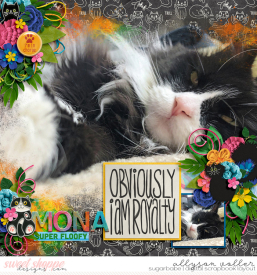 allyanne_CatCrazy_01_WM.jpg