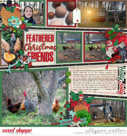 allyanne_ChristmasFun_01_WM1.jpg