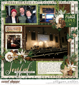 allyanne_ChristmasSpiritPeaceOnEarth_01_WM.jpg
