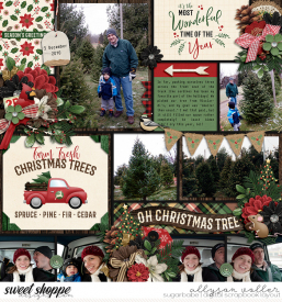 allyanne_ChristmasintheCountry_01_WM.jpg