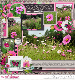 allyanne_Cosmos_01_WM.jpg