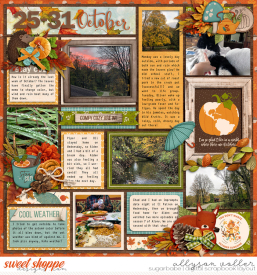 allyanne_CozySeason_01_WM.jpg