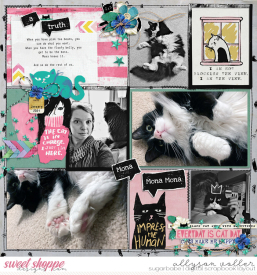 allyanne_CrazyCatLady_01_WM.jpg