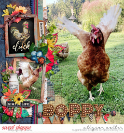 allyanne_DSIFocusv2_CountryLiving_01_WM.jpg