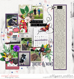 allyanne_DayDreamin_01_WM.jpg