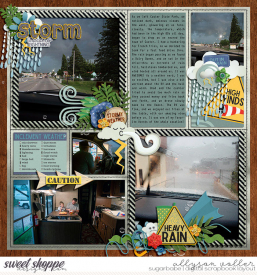 allyanne_EZ17_StormyWeather_01_WM.jpg