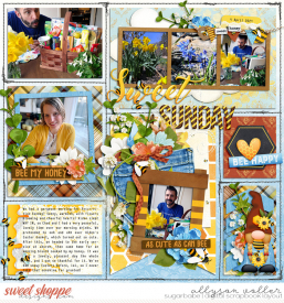 allyanne_EZpages20_02BeeaKindGnomie_01_WM.jpg