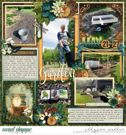 allyanne_EnchantedForest_02_MayReveiw_04_WM.jpg