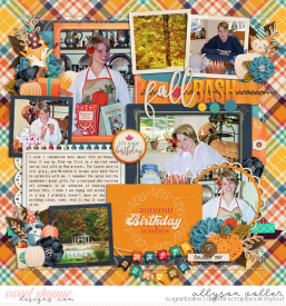 allyanne_FallBirthdayBash_01_WM.jpg