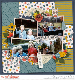 allyanne_FallingforAutumn_01_WM.jpg