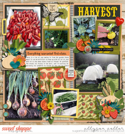 allyanne_FarmFresh_01_WM.jpg