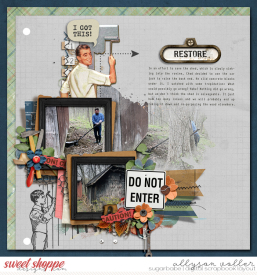 allyanne_FixerUpper_01_WM.jpg