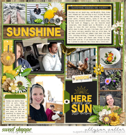 allyanne_FollowtheSun_02_WM.jpg