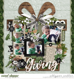 allyanne_Frosty_sFarmhouse_01_set254_01_WM.jpg