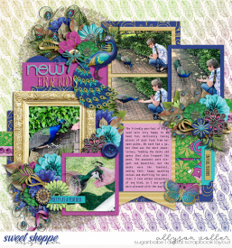allyanne_HP280_ProudAsAPeacock_01_WM.jpg