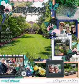 allyanne_HP325_MakeItLast_01_WM.jpg
