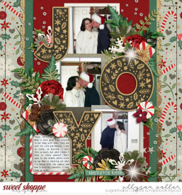 allyanne_HP333_01_Claus_Co_01_WM.jpg