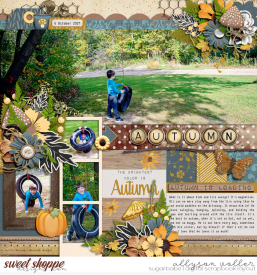 allyanne_HP366_01_FallingSlowly_01_WM.jpg