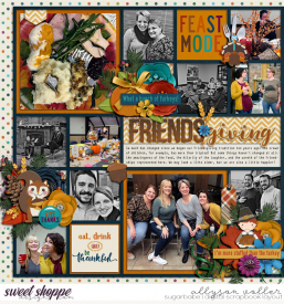allyanne_HarvestofGratitude_01_WM.jpg