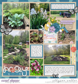 allyanne_HelloFlower_01_WM.jpg