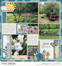 allyanne_HelloFlower_02_WM.jpg