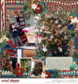 allyanne_HighlandsChristmas_01_WM.jpg