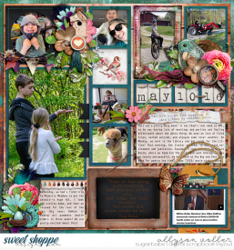 allyanne_HopeIstheThingWithWings_01_WM.jpg