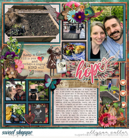 allyanne_HopeIstheThingWithWings_02_WM.jpg
