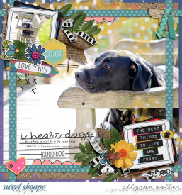 allyanne_IntheCornerPD_01_ACupWithMyPup_01_WM.jpg