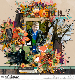 allyanne_IntheFall_AutumnSkies_ApplePies_01_WM.jpg