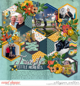 allyanne_LittleWonders_01_WM.jpg