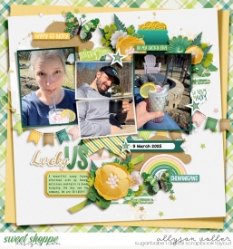 allyanne_LovingtheEveryday_02_InMyLuckyEra_01_WM.jpg