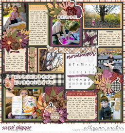 allyanne_MA4addon_02_SeekGratitude_01_WM.jpg