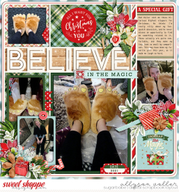 allyanne_MA6_02_ChristmasSpiritFeeltheMagic_01_WM.jpg