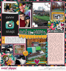allyanne_MemoriesInside_01_WM.jpg