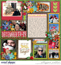 allyanne_MerryandBright_01-left_WM.jpg