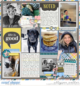 allyanne_MonthinReviewJanuary_02_WM.jpg