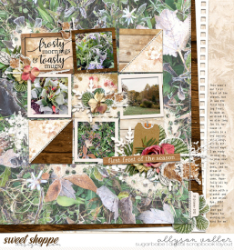 allyanne_MysteryPromo_Grace_KCB_mashup_01_WM.jpg