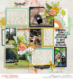 allyanne_NTSFindingJoy_02_WM.jpg
