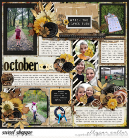 allyanne_NTSSeasonsChange_01_WM.jpg