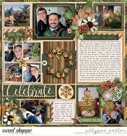 allyanne_NaturalChristmas_02_WM.jpg