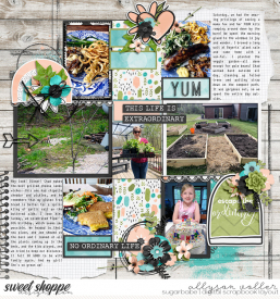 allyanne_NoOrdinaryLife_02_WM.jpg