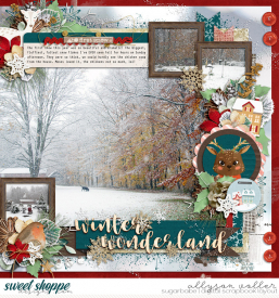 allyanne_OAAWinterVillage_01_WM.jpg