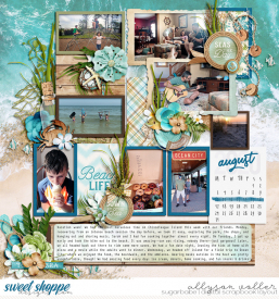allyanne_OutdoorExplorersBeach_01_WM.jpg