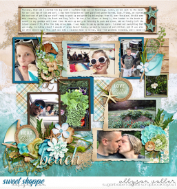 allyanne_OutdoorExplorersBeach_02_WM.jpg