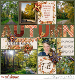 allyanne_PPAutumn_02_WM.jpg
