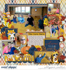 allyanne_Palooza100_HappyHarvest_01_WM.jpg