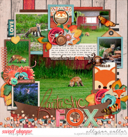 allyanne_Palooza102_CleverFox_01_WM.jpg
