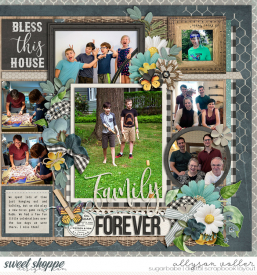 allyanne_Palooza143_VintageFarmhouse_02_WM.jpg